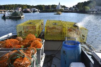 Hauling lobsters on a cool Boothbay Harbor morning. FRITZ FREUDENBERGER/Boothbay Register