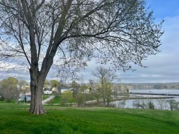 Overlooking Wiscasset harbor and village. Karen Swanson photo 