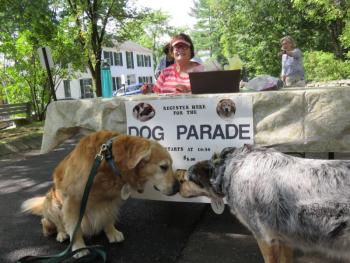Dog parade 