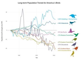 The 2025 State of the Birds report, like thousands of other reports and publications, would not have been possible without results from the Breeding Birds Survey. Courtesy of Cornell Lab of Ornithology The 2025 State of the Birds report, like thousands of other reports and publications, would not have been possible without results from the Breeding Birds Survey. (Courtesy Cornell Lab of Ornithology)