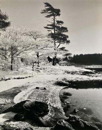 A local winter scene by Robert Mitchell. Courtesy of Robert Mitchell Winter