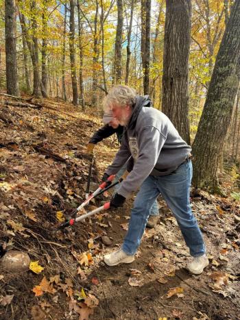 Two people cut roots in the forest