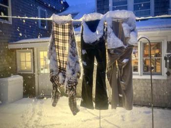 Photo by Robert Mitchell