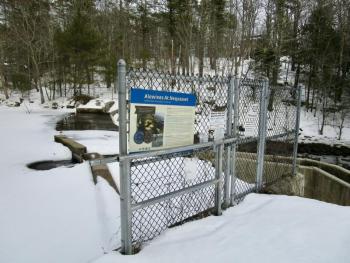 Looking out over Nequasset dam near the fishway. PHIL DI VECE/Wiscasset Newspaper 