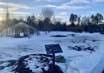 The area adjacent to CMBG's current butterfly and insect house will host the new building. ISABELLE CURTIS/Boothbay Register