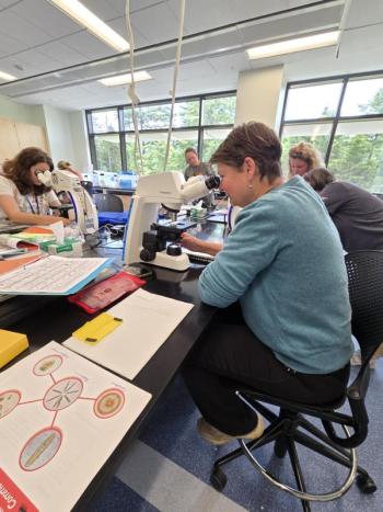 Teachers analyze data in the lab. Courtesy of Bigelow Laboratory