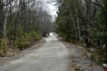 Looking downhill on the dirt road leading to the top of Ozone Mountain.  A number of homes were built on the summit of the high hill where over the years the trees have grown up obscuring the view of the surrounding countryside. PHIL DI VECE photo