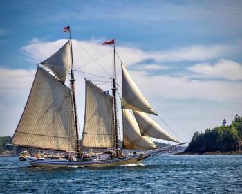 Schooner "Heritage" has attended Windjammer Days in the Boothbay Region for decades. Sean Sheppard photo