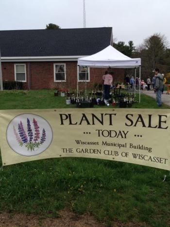 Plant sale 