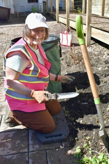 Digging in – Shelia Scott, Garden Club of Wiscasset president at work in a flower bed in the courtyard of Wiscasset Green. PHIL DI VECE/Wiscasset Newspaper  