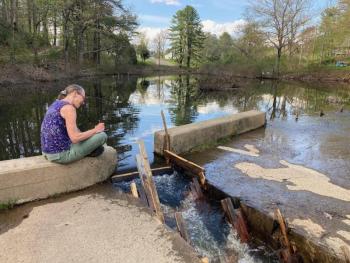 Fish count 