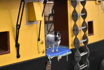 A furry crew member makes an unexpected appearance! ISABELLE CURTIS/Boothbay Register