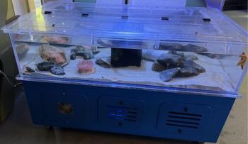 exhibit ecosystem 