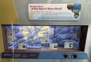 EXHIBIT 