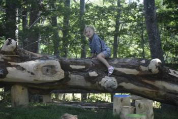 Check out the new playground at Boothbay Region Land Trust's Oak Point Farm during Field and Forest Family Fun Day July 18! Courtesy of BRLT