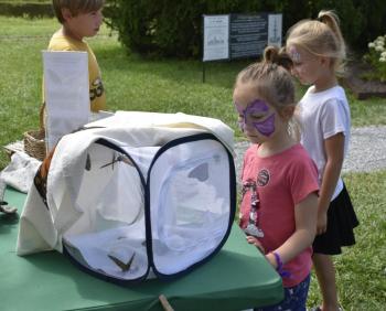 Pollination Station attracts butterflies of all sorts on Children's Day at BRVM. File photo