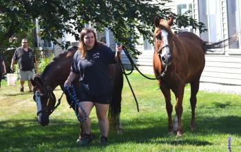Horses