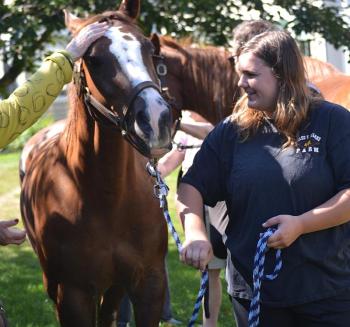 Horses