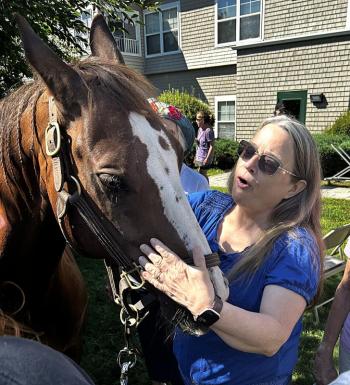 Horses