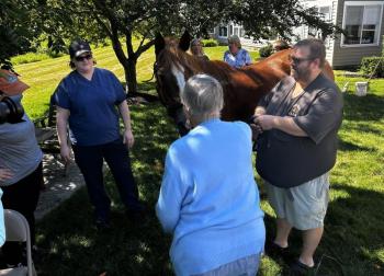 Horses