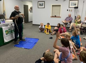 Argentine and Brazilian tegu lizards have historically been hunted for their skin to make handbags. In captivity, they can be extremely affectionate. ISABELLE CURTIS/Boothbay Register