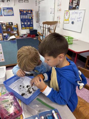 Students 