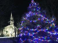 Tree and church 
