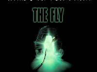The Fly