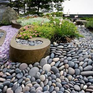 A coastal maine rooftop garden. Courtesy of William S. Brehm.