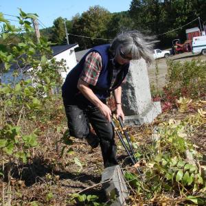 Lincoln County Community Development Director Mary Ellen Barnes prunes in the old cemetery. SUSAN JOHNS/Wiscasset Newspaper