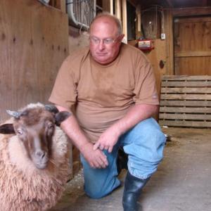 A wayward ram found refuge with Terry Garner, pictured, and Garner's wife Sandy in Alna. SUSAN JOHNS/Wiscasset Newspaper