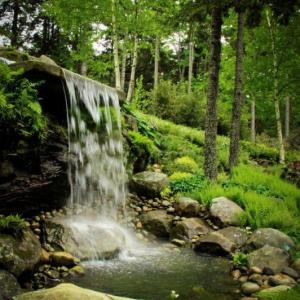 "Utopia," by Doris “Dodie” Wible. Wible's photo is one of many taken at Coastal Maine Botanical Gardens that make up an exhibit of scenes captured by the gardens’ photography club members. The photos will be exhibited until October 16. "Utopia," by Doris “Dodie” Wible. Wible's photo is one of many taken at Coastal Maine Botanical Gardens that make up an exhibit of scenes captured by the gardens’ photography club members. The photos will be exhibited until October 16.