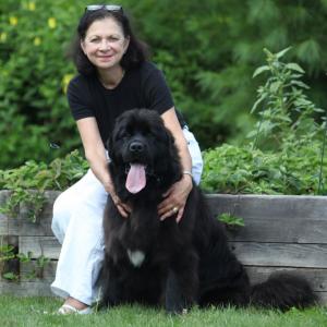 Author Carla Maria Sullwold and her Newfoundland, Ruffian, will visit the Skidompha Library Thursday, November 15 as part of the “Chats with Champions” series. Courtesy of Skidompha Library Author Carla Maria Sullwold and her Newfoundland, Ruffian, will visit the Skidompha Library Thursday, November 15 as part of the “Chats with Champions” series. Courtesy of Skidompha Library