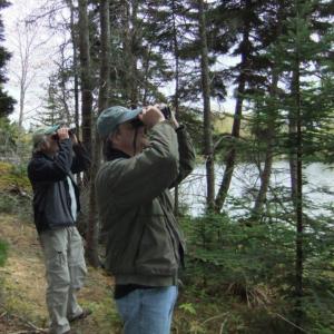 BRLT Wayfarers will learn how to see things on trail that an ordinary hiker might miss. Courtesy of Boothbay Region Land Trust BRLT Wayfarers will learn how to see things on trail that an ordinary hiker might miss. Courtesy of Boothbay Region Land Trust