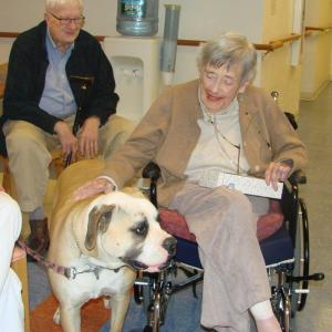 Bob and Jana Beattie, residents of the Lincoln Home, enjoy a few minutes greeting 15-month-old Millie during the dog therapy preparation course led by dog trainer Jean Conte April 4. LISA KRISTOFF/Boothbay Register