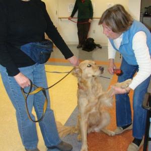  Mollie in a simulated arrival at a facility where a “staff member” greets the team. LISA KRISTOFF/Boothbay Register