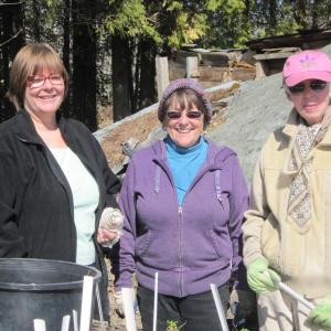Potting plants for the Garden Club of Wiscasset’s annual plant sale are chairs, left to right, Julia Simpson, Linda Biden and Margaret Holden. Courtesy of Garden Club of Wiscasset Potting plants for the Garden Club of Wiscasset’s annual plant sale are chairs, left to right, Julia Simpson, Linda Biden and Margaret Holden. Courtesy of Garden Club of Wiscasset