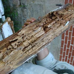 One of three rotting posts replaced on the cupola of the 1807 building. SUSAN JOHNS/Wiscasset Newspaper 
