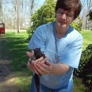 Betsy Pratt and the baby squirrel. SUZI THAYER/Boothbay Register