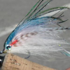Faulkingham’s clients have the use of equipment like this colorful fishing fly. SUSAN JOHNS/Wiscasset Newspaper