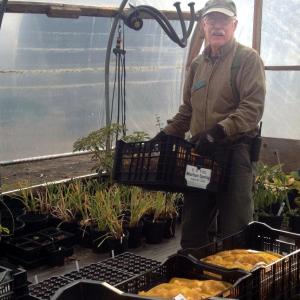 Think spring! Horticulturist Dick Zieg totes a few of the 23,000 bulbs being planted at the Gardens now in anticipation of a vernal display more than twice the size of those in recent years. Tulips in striking combinations, along with hyacinths and other bulbs, make up the new plantings. Courtesy of William Cullina Think spring! Horticulturist Dick Zieg totes a few of the 23,000 bulbs being planted at the Gardens now in anticipation of a vernal display more than twice the size of those in recent years. Tulips in striking combinations, along with hyacinths and other bulbs, make up the new plantings. Courtesy of William Cullina