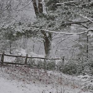 Snow
