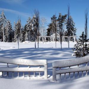 A past winter at Coastal Maine Botanical Gardens. The Gardens sparkle in the winter, but if there’s any doubt about the weather conditions, it’s important to call ahead to make sure the gates are open. Courtesy of Barbara Freeman