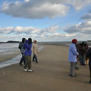 popham maine 