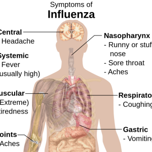 Diagram of flu symptoms
