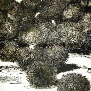 "Sea Urchins," R. Keith Rendall