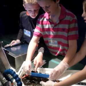 SIXTH GRADERS Sam Sinibaldi of Phippsburg and Christian Longobardi of Westport Island measure a lobster’s carapace at the Gulf of Maine Research Institute’s LabVenture! learning laboratory. Courtesy of Center for Teaching and Learning