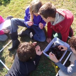 Using a meter-square quadrat used to find invasive species, Lexi Haedrich of Wiscasset is poised to record more data, while Emma Collins of Woolwich and Griffin Bannon of Woolwich use the Vital Signs invasive species cards to figure out if they found a green crab. Dae Kent of Woolwich and Marcus Russano of Jefferson examine the shell of another crab. Courtesy of Center for Teaching and Learning