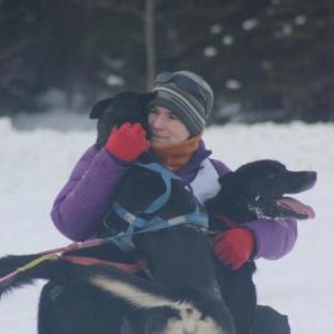 Heidi Sutter, sled dogs