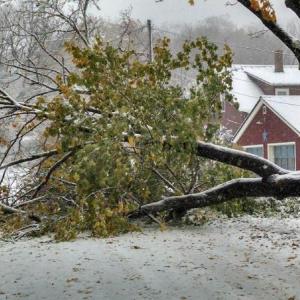 A tree limb lies across Colcord Ave. in Camden. (Courtesy Chris Farley)